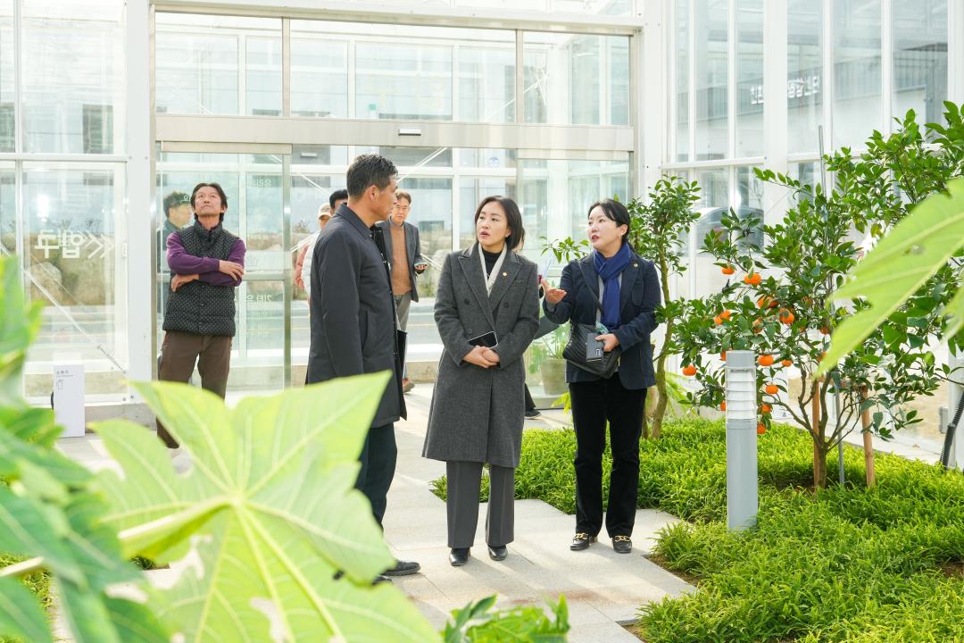 '과학영농실증교육관 & 귀농귀촌교육지원센터 착공식' 게시글의 사진(19) '20241213_(0675)_과학영농실증교육관 & 귀농귀촌교육지원센터 착공식(_DSC07092.jpg'