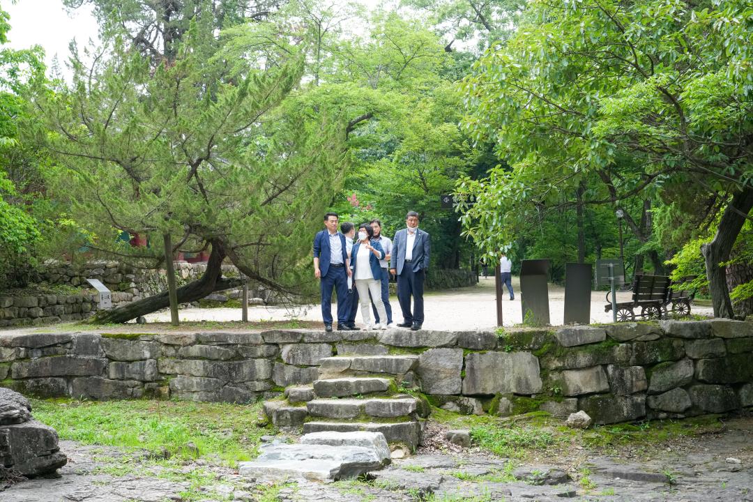 '문화도시위원회 현장방문' 게시글의 사진(6) '20220725_(067)_문화도시위원회 현장방문_DSC06263.jpg'