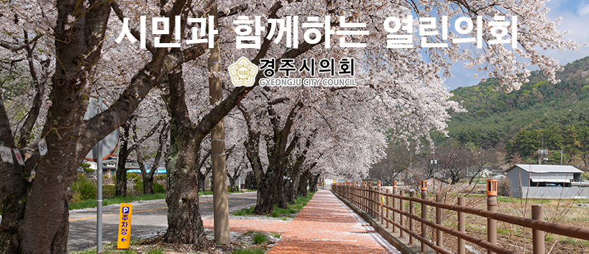 경주의 봄